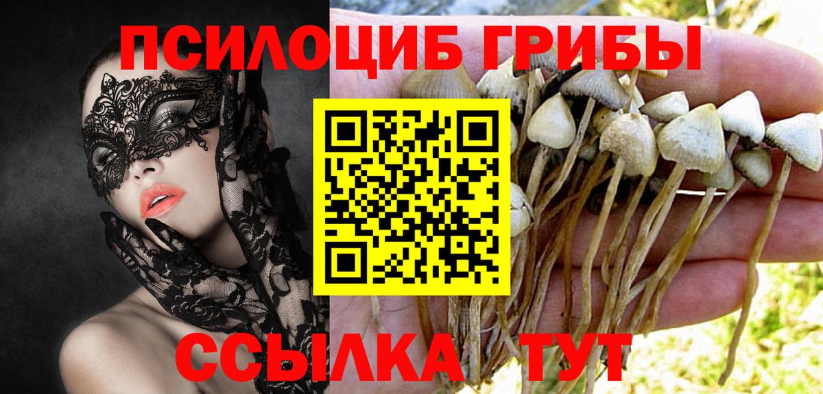 Ногинск  Галлюциногенные грибы Psilocybe  Вход с VPN  Псилоцибиновые грибы GOLDEN TEACHER 