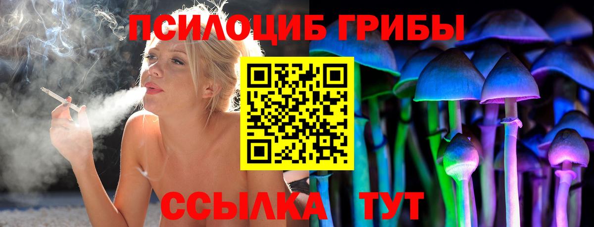 Псилоцибиновые грибы Psilocybe Ногинск